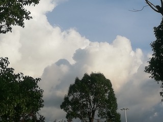 443829