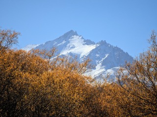 1000056767