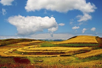 _DSC8808.jpg