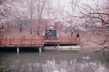 3D06DE98-CC67-4893-9E23-23BF90B14D9B/L0/001