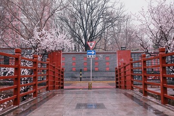7B7D8BA3-A33E-41A5-A0DD-29D54B55A226/L0/001