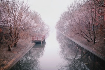 699581A1-5B9F-46CB-A0BF-BC8912BA4334/L0/001