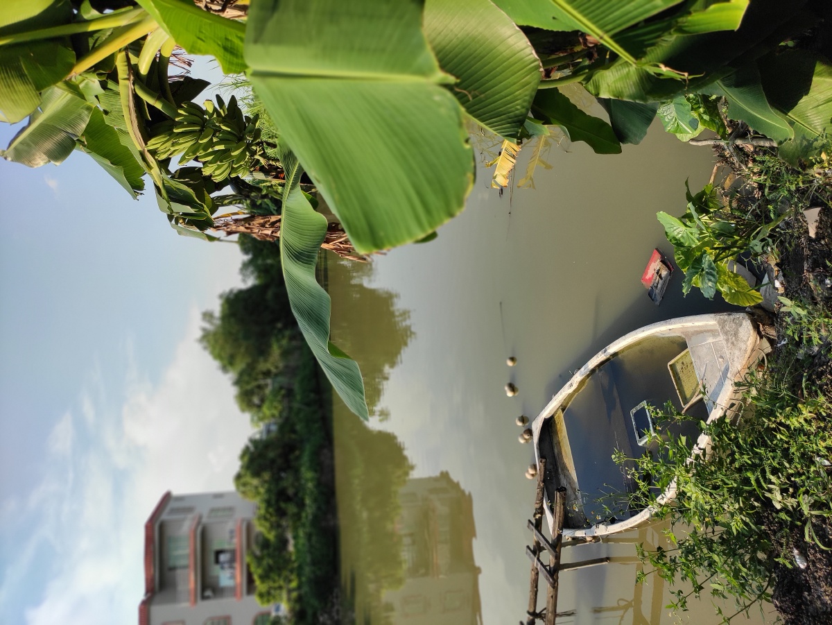 田源乡村鱼塘小船