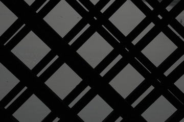 1000015649
