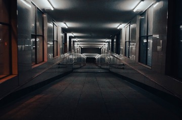 1000085229