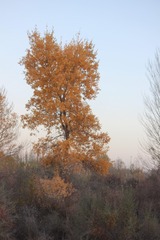 2000845