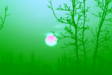 2000833