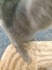 1000106375