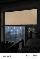 1000038241