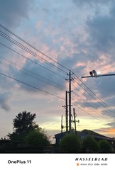 1000042161