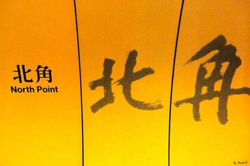 P1090198.jpg