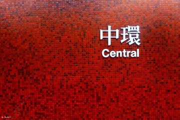 P1090201.jpg