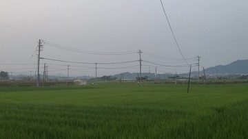 1000024342