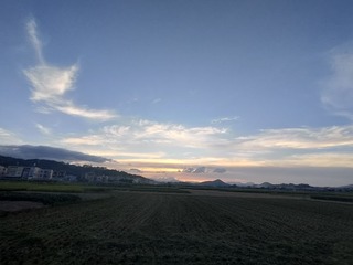 1000070720