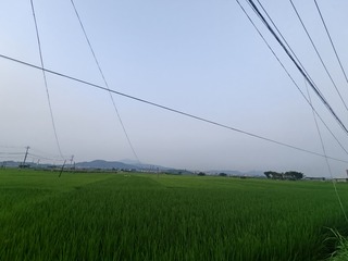 1000024361