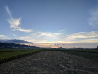 1000070724