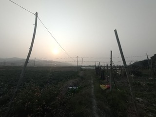 1000049783