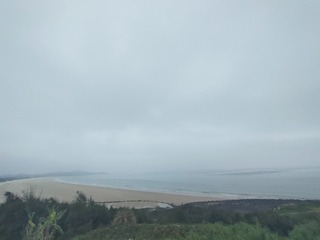 1000055616