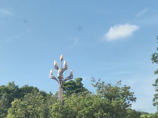 1000071657