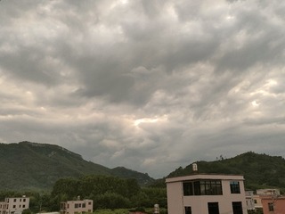 1000012623