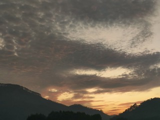 1000026712