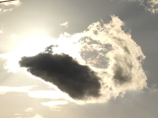 1000071290