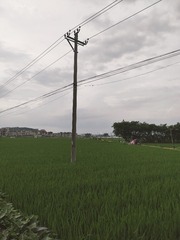 1000059859