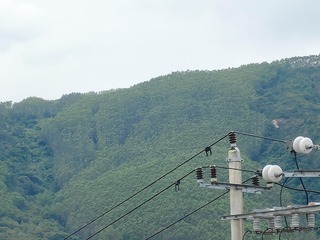 1000063112