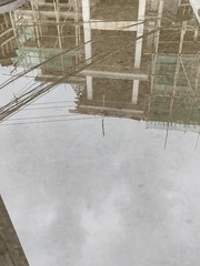 1000067945