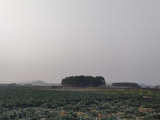 1000049805