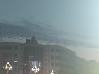 1000060313
