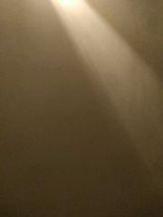 1000078041