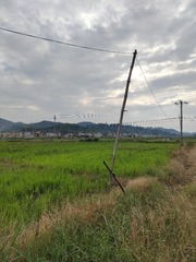 1000016663
