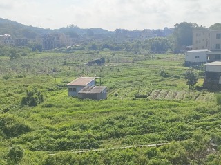 1000066240