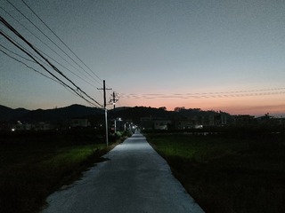 1000080308
