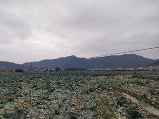 1000032262