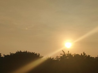 1000024183
