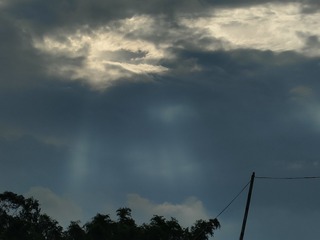 1000011579