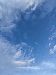 1000074604