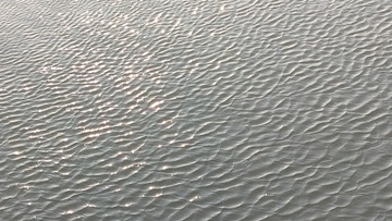 1000048372