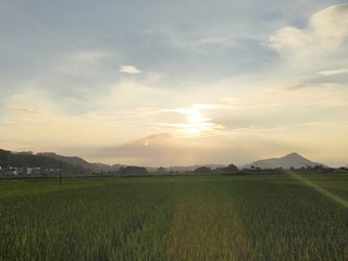 1000063959