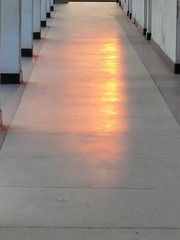 1000051784