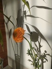 1000043432