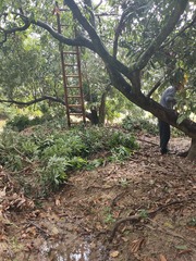 1000067797