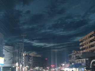 1000081381