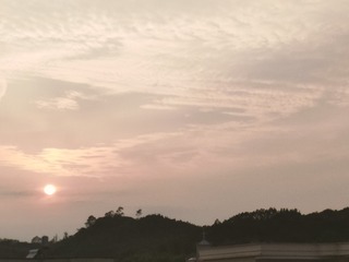 1000058339