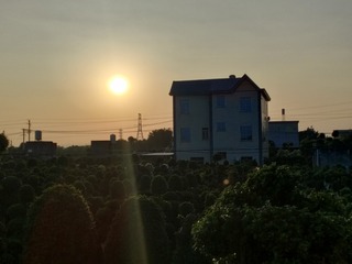 1000030709