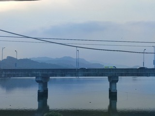 1000075416