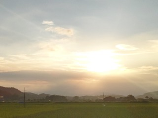 1000063986