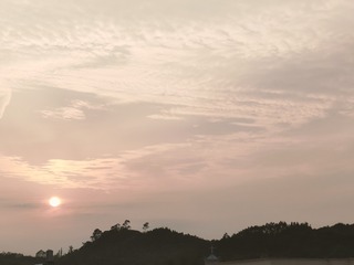 1000058338